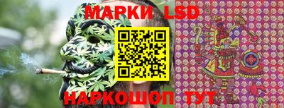 apvp Славгород